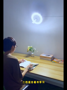 LED Bedroom aromatherapy fan light E27 remote control study living room light ceiling fan light
