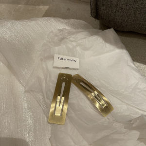 MONA Metal Brushed Hair Clips Korean Style Makeup BB Clips Fringe Hair Accessories Simple Fashion Hair Grips Edge Clips