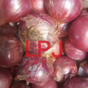 Bawang BOMBAY MERAH - 1 Kg - LPJ