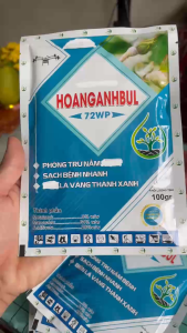 Lá Vàng Thành Lá Xanh-Combo 1 Gói HOANGANHBUL 100gam & 3 Gói Nutri/10gam Bổ Sung Vi Lượng-Phun 3 Bình 25 lít Nước-Trị Vàng Lá Do Nấm Bệnh Và Vàng Lá Do Thiếu Vi Lượng