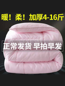 Thick Winter Quilt 10 Pounds 12 Pounds Warm Cotton Quilt for Students Dormitory Single Bed Four Seasons Universal Polyester Fiber