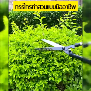 กรรไกรตัดหญ้า -ใช้สำหรับตัดแต่งสนามหญ้า -เช็ดด้วยผ้าชุบน้ำหมาดเพื่อป้องกันสนิม พร้อมส่ง ทำจากวัสดุเหล็กคุณภาพสูง แข็งแรง และทนทาน