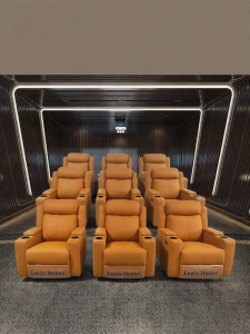 Louis Donne | Electric Storage Genuine Leather Recliner for Home Cinema