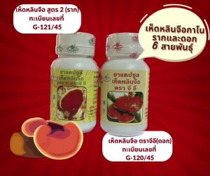 หลินจือรากและดอก กาโนเอ็กเซล ขนาด บรรจุ 30 แคปซูล