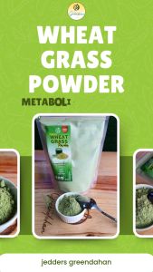 Greendahan Organic Wheatgrass Juice Powder 100g 200g - Unsweetened Premium Quality Authentic NON GMO