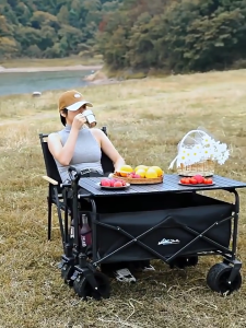 【COD】Outdoor Wagon Trolley Cart Folding Trolley Utility Portable Camping Shopping Trolley Cart Tool Trolley Cart Dog Carts