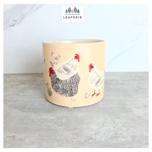 The Leaferie Noah plant pots Ceramic flowerpot flowerpots flower planter planters