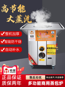 Commercial Gas And Electric Steamer for Business Startups Bun And Steamed Buns Cooking Street Vendors Kitchen Appliance
