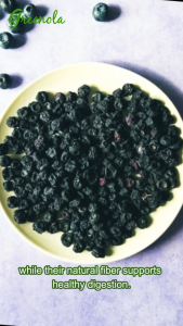 Greenola Dried Blueberries 100g