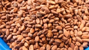 Demars 300 GRAMS | 30 Pieces Pure TABLEYA from DAVAO | UNSWEETENED DARK 100%