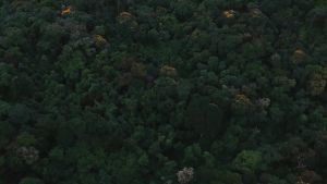 COUCOU Salmon Chicken Premium Kitten Food Freshpack 1.5kg