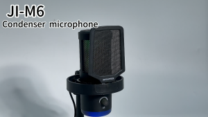 RAYHAYES USB Gaming Microphone Withi RGB Removable Metal Mesh Noise Reduction for Gaming Live Streaming