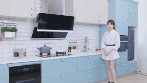 SHANBEN Energy-saving infrared gas stove high temperature resistant easy to clean electronic pulse ignition