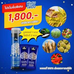 4Tree Booster (โฟร์ทรี 2 ซอง + บูสเตอร์ 1 ขวด) คู่หูพลังดูดซึมไว ทนโรค ทนหนาว ทนแล้ง สำหรับพืชทุกชนิด สกัดจากไคโตซานบริสุทธิ์ ของแท้ 100%
