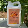 OBAT PEMBASMI SEMUA JENIS RAYAP KAYU | RAYAP TANAH | RAYAP BASAH 5 LITER | 100% AMPUH | Ramah Lingkungan. 