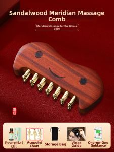 HUIJI | Copper Head Massage Comb