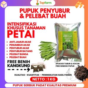 Pupuk Pohon Pete Cepat Berbuah / Pupuk Anti Rontok Bunga Pete / Pupuk Pelebat Buah Pete / Pupuk Organik Pelebat Buah Pete / Pupuk Petai