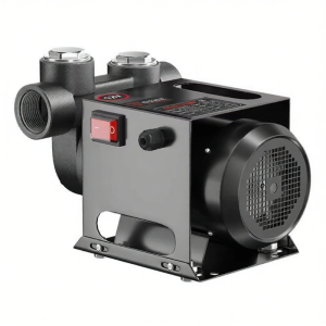 DULAN | Universal 12V-24V 220V Electric Small Self-priming Oil Pump
