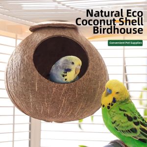 Multiple Bird Species Coconut Shell Nest Hanging
