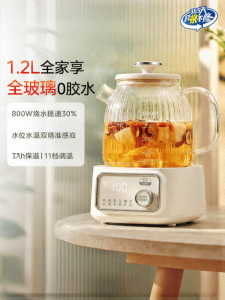 Midea | Multifunctional Home Small Glass Teapot with Thermostat