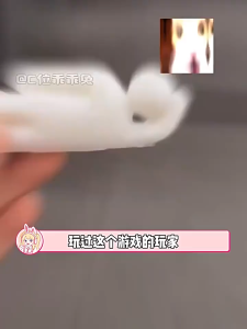 Bộ 8 Món Hình Tắc Kè Meccha Để Tô Màu Tự Tô Màu Ngụy Trang Đồ Chơi Mini Trò Chơi Tiệc Tùng Trang Trí Bàn Làm Việc Quà Tặng
