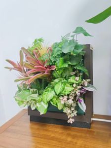 Creative 3D Multi-layer Wall Mounted Picture Frame Self-absorbing Water Wall Hanging Plant Pots No-drilling Required