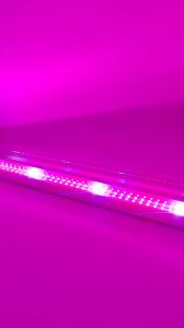 Warmtaste  T8 led Plant Grow Light Bulbs Light Waterproof Full Spectrum Plant Lamp Flood Lighting for Indoor Greenhouse Plants Veg Flowers