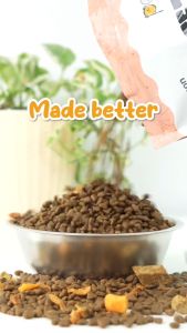 Petsup Freeze-Dried Cat Food: A High-Protein Choice for Kitten & Adult Cats