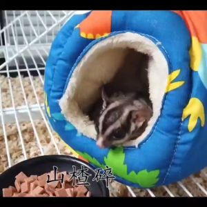 Sugar Glider Haw Flakes/Hamster Haw Flakes/Sugar Glider SnacksTreats/Hamster Small Animal TreatsSnacks/蜜袋鼯山楂片