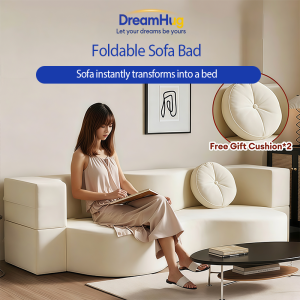 DreamHug Folding Double Sofa Bed Dual-purpose Living Room Foldable Compression Sofa Bed Two free pillows