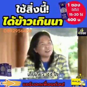 โฟร์ทรี4tree  อะมิโนไบโอแบล็ค สารอารพืชเพิ่น้ำหนักเพิ่มขนาด