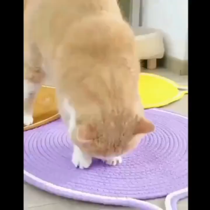 Sisal Scratch Pad For Cat Scratching Pad Cat Scratcher Mat Cat Scratch Mat Indoor Cat Scratching Mat