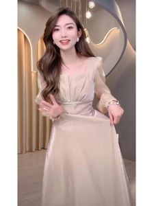 Elegant French Champagne Color Chiffon Dress Womens Spring 2026 New Waist-Cinching Slimming Evening Sparkling Skirt