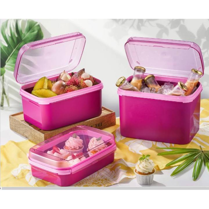 Rectangular Locking Tupperware Tupperware Ezy Rectangular Keeper | Lazada