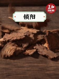 锁阳 100g Songaria Cynomorium Herb Herba Cina kering