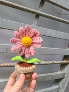 Chậu hoa mini len làn quà lưu niệm quà tặng ý nghĩa