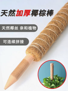 Green Radish Monstera Deliciosa Support Rod Climbing Column Coconut Fiber Stick Green Radish Holder Plant Climbing Vine Flower Stand Palm Column Coconut Shred