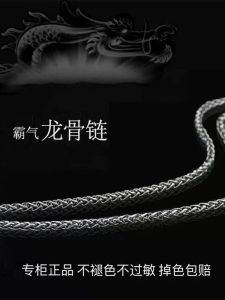 Versatile Titanium Steel Dragon Bone Necklace Mens Korean Fashion Simple Personality Hip Hop Dominant Trending Chain Jewelry Clavicle Chain