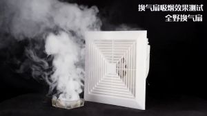DIODIY Exhaust fan 8/10/12/14 inch ceiling ventilation fan Quiet fan Bedroom Kitchen Office Strong wind Silent Bathroom