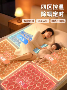 Dual Control Zone Electric Blanket Water Circulation Heated Quilt Double Layered Temperature Adjustable Bedding Mat for Couples