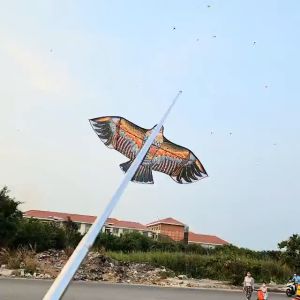 Diều Chim Đại Bàng 1m8