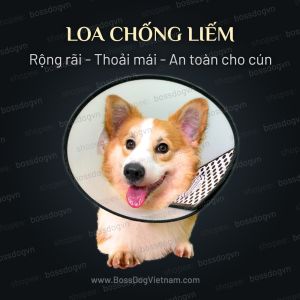 Loa chống liếm cho chó  - Thiết kế an toàn vững chắc | BossDog