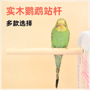 คอนยืนไม้แท่ง กลึงกลม คอนไม้ คอนนก คอนติดกร สำหรับนกแก้ว เลิฟเบิร์ด ค๊อกคาเทล กรีนชีค