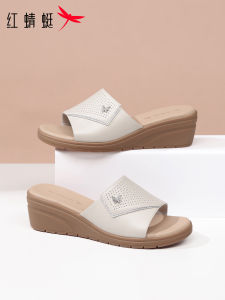 Reddragonfly | Anti-slip Comfort Soft-soled Wedge Slipper Slippers