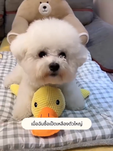 ตุ๊กตากัดเล่นสุนัข ตุ๊กตาสัตว์เป็ดขนนุ๊มนุ่ม ขนาดใหญ่ อุปกรณ์เสริม สําหรับฝึกสุนัขขนาดเล็ก ตุ๊กตาบีบๆนุ่มนิ่มมีเสียง