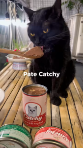 pate Catchy 400gr thơm ngon cho mèo - T3 PETS SHOP