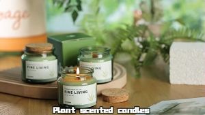 2024 scented candle souvenir giveaways for Wedding Baptismal Scented Candle Home Fragrance