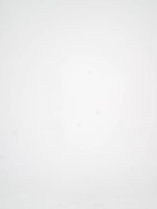 Hazelwood_Mens T-Shirt_ Watermelon_24381_01