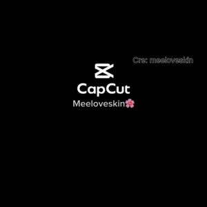 Set Kem Dưỡng Keo Ong Phục Hồi Da CNP Laboratory Propolis Ampule Active Shot Cream 50mlX2 OTELSTARX Chuẩn Auth