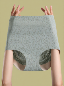 MsPai | Teenage Girls Cotton Antibacterial Underwear